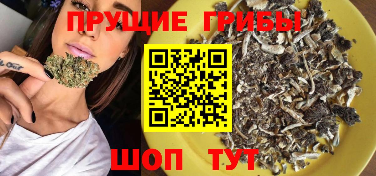 Галлюциногенные грибы Magic Shrooms  Галлюциногенные грибы Psilocybine cubensis  Феодосия  Вход с VPN 