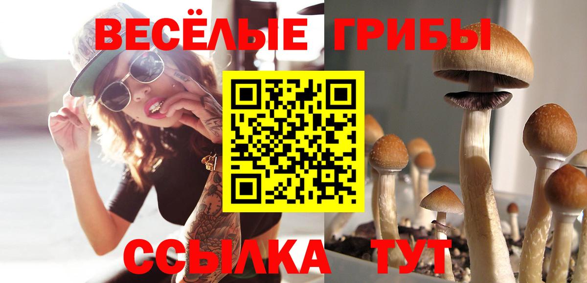 Псилоцибиновые грибы прущие грибы Феодосия